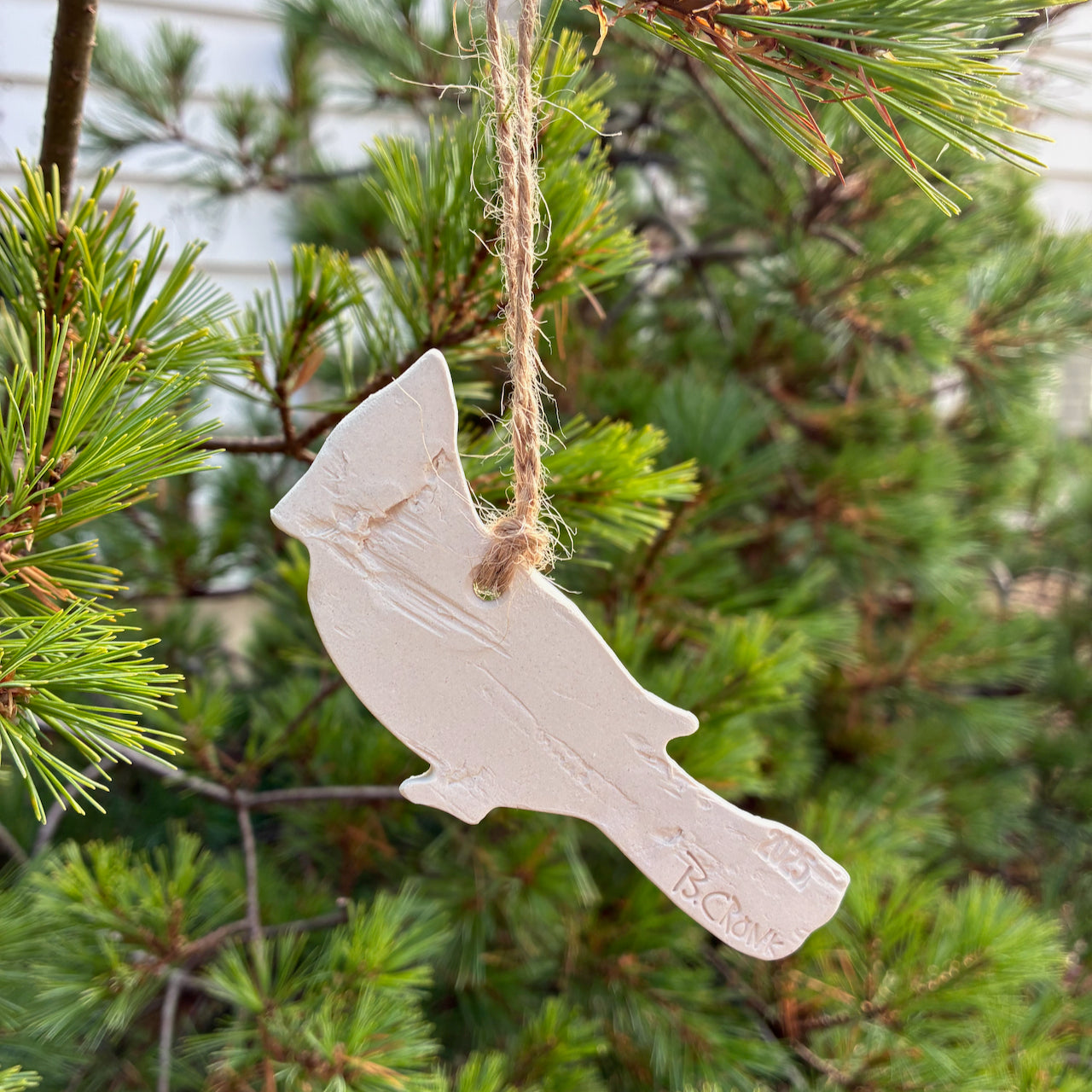 2025 Cardinal White Birch Ornament